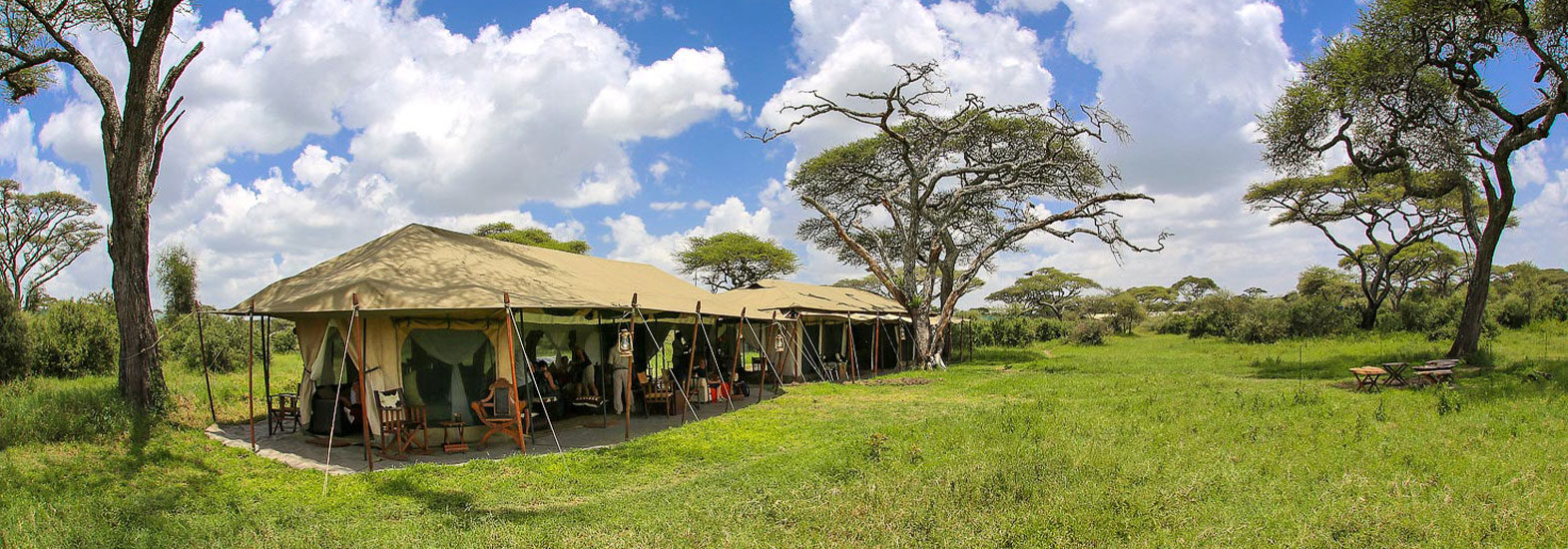 Luxury Serengeti and Ngorongoro Safari