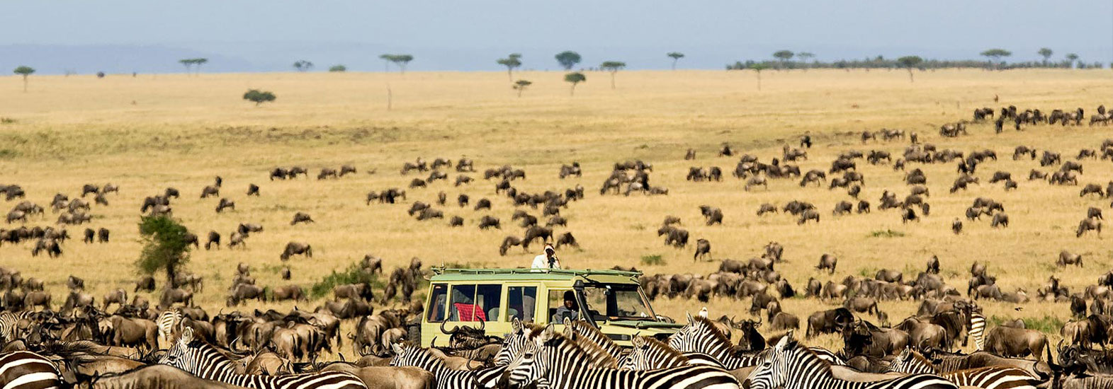 Budget Safari Tanzania