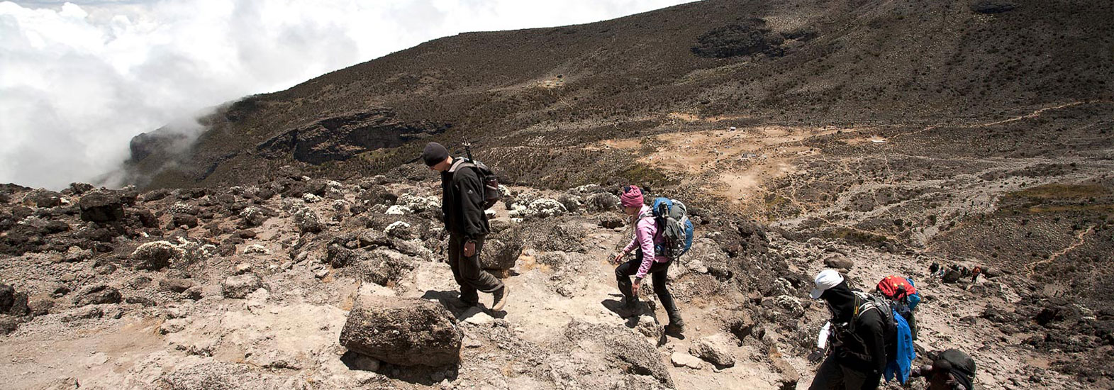 Kilimanjaro Lemosho Route 8 Days