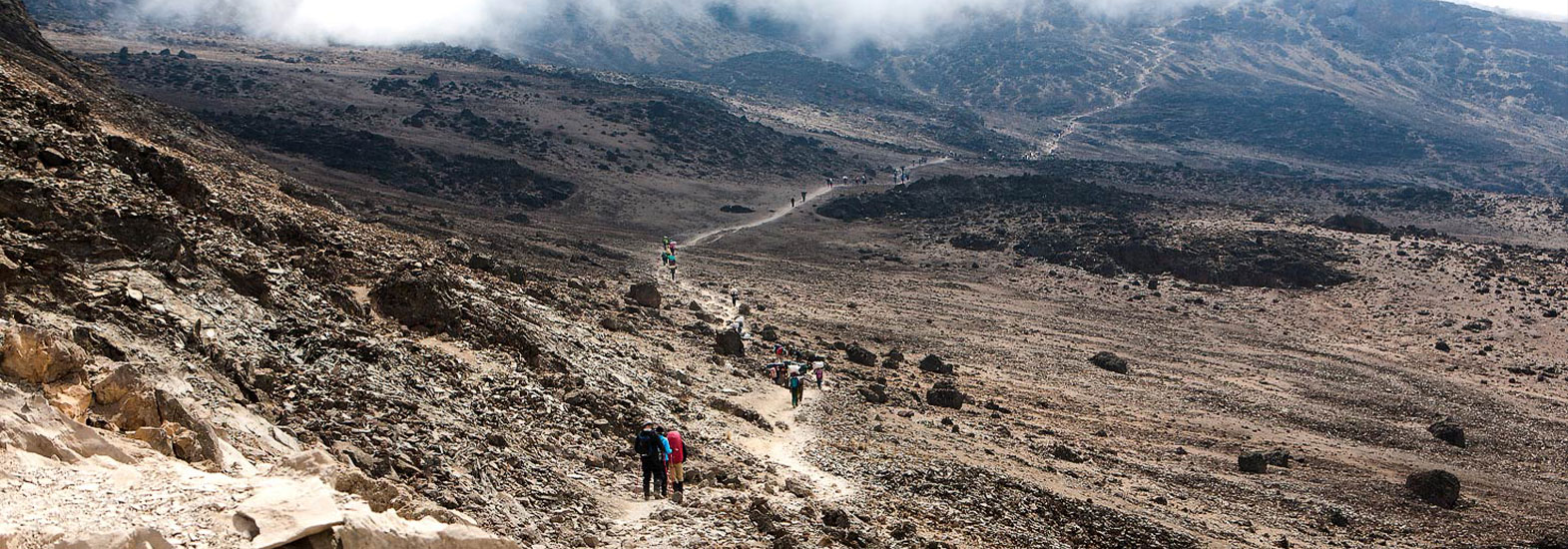Kilimanjaro Lemosho Route 8 Days