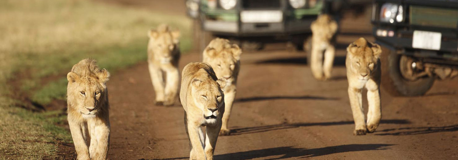 18-Day Luxury African Safari