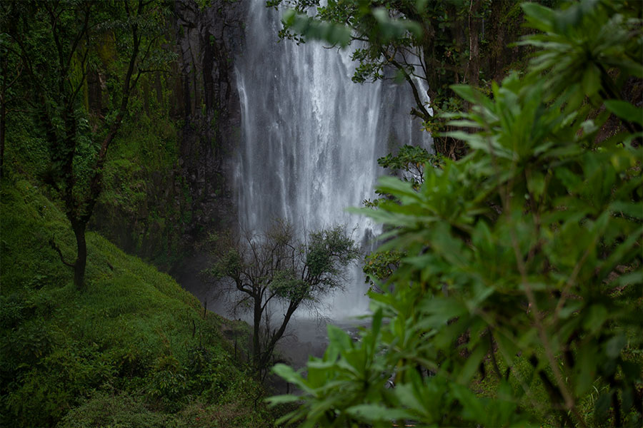 Materuni Waterfalls Days Trip