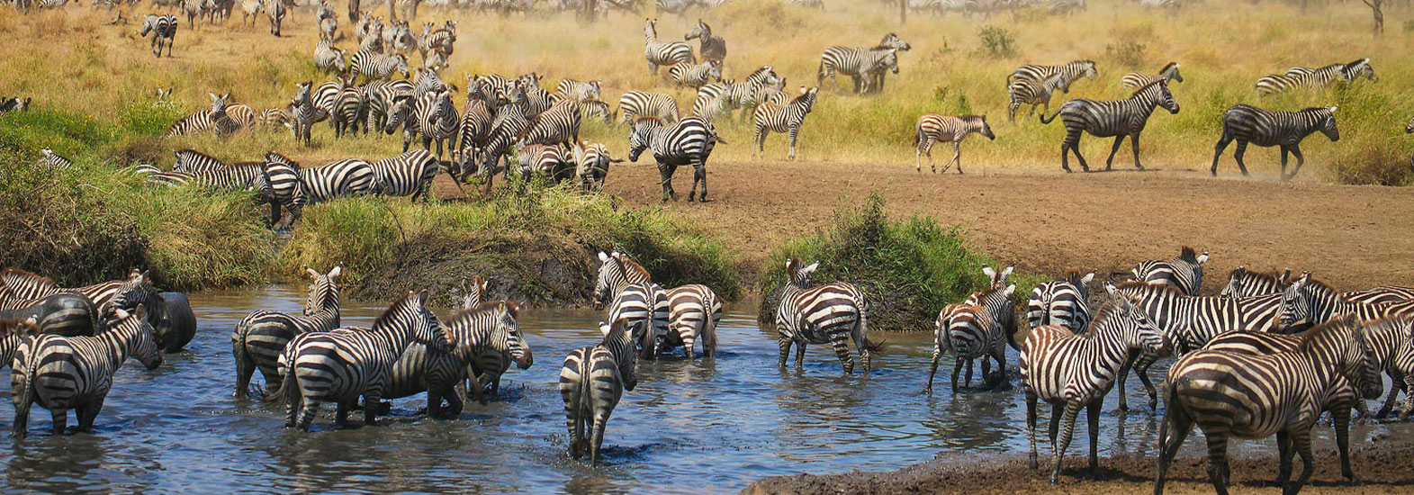 15 Days Tanzania Family Safari