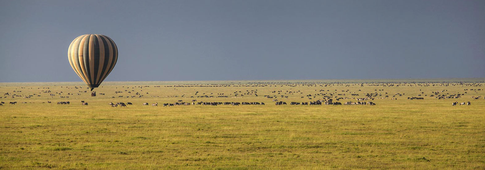 Soul of Tanzania Safari