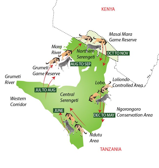 serengeti migration routes