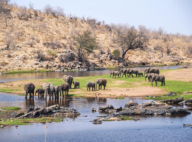 Tarangire National Park