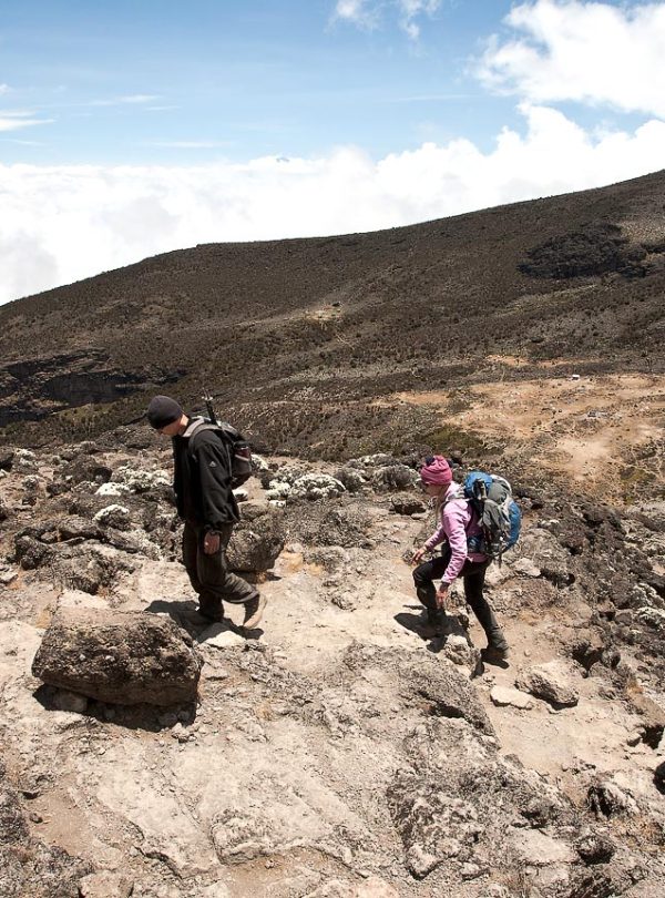 kilimanjaro lemosho taz copy 6-Day Kilimanjaro Trails - Marangu Route Highlights