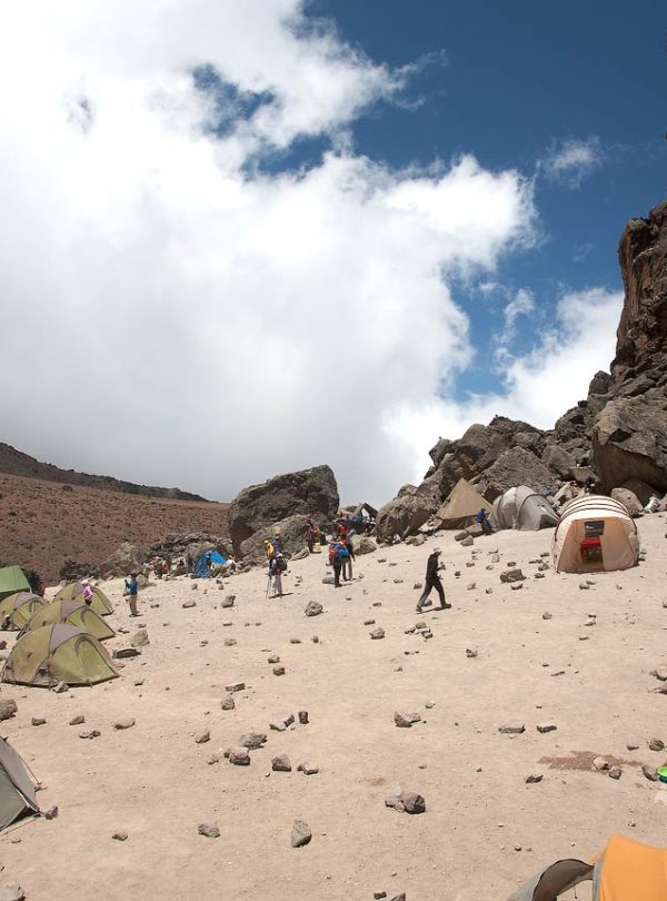 kilimanjaro shira camp 004 9-Day Kilimanjaro Climb – Northern CircuitRoute