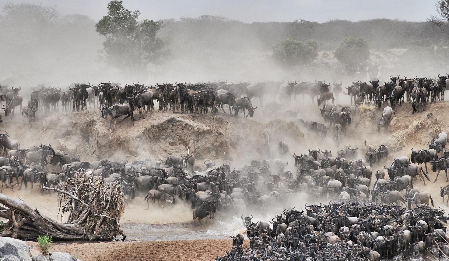 Serengeti National Park Guide