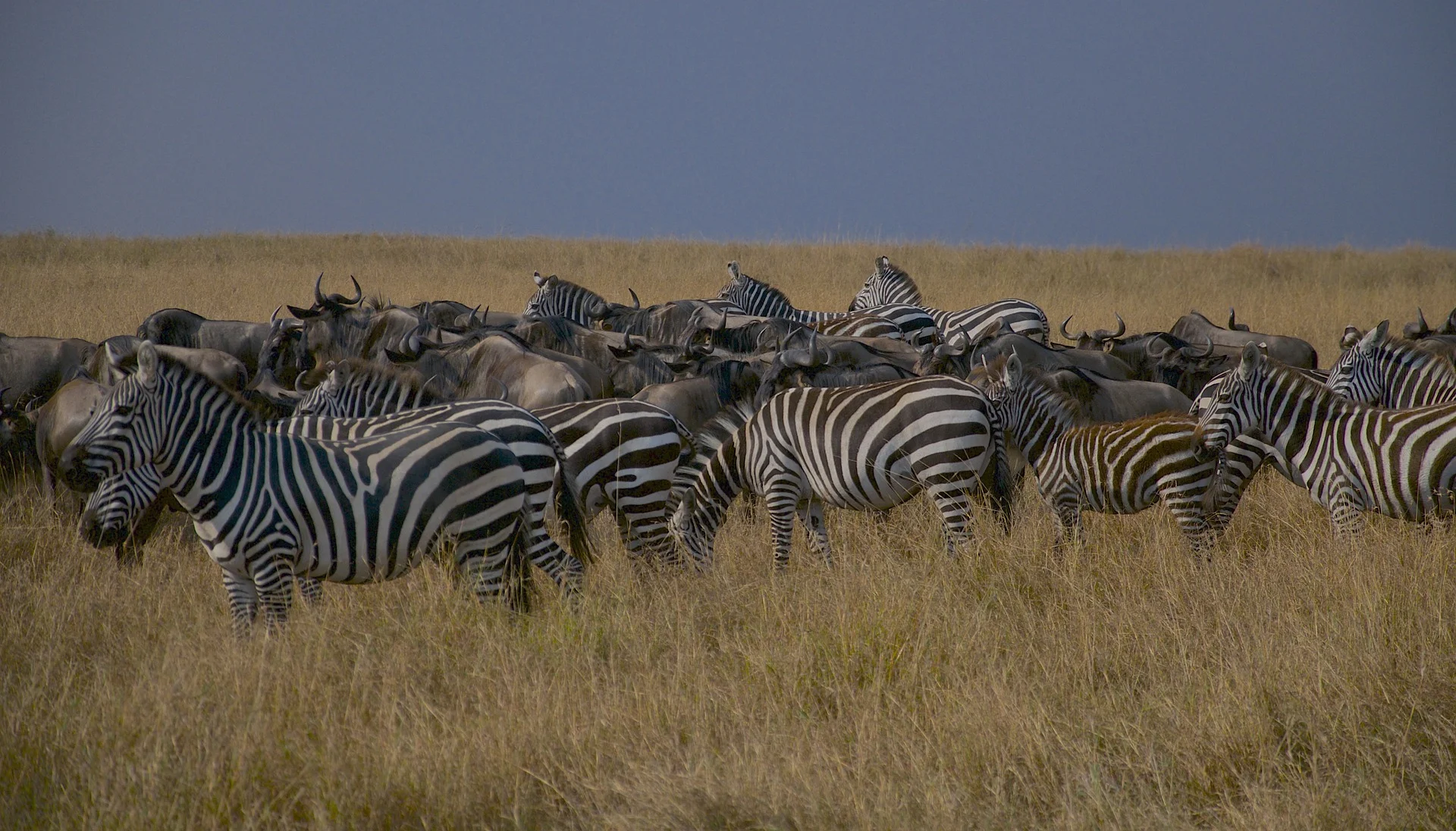 Ngorongoro Conservation Area