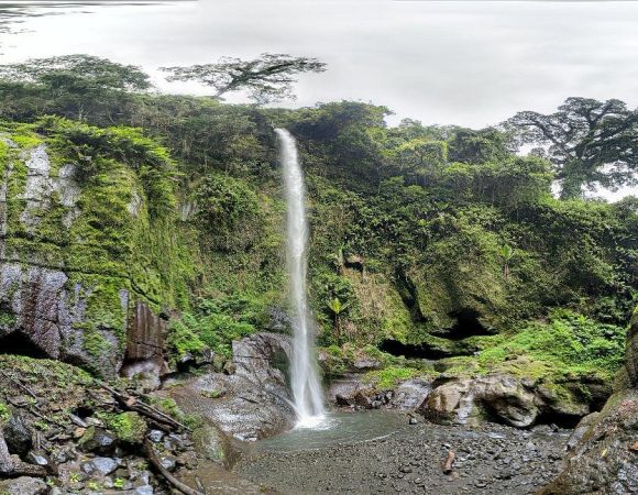 Meru forest Arusha