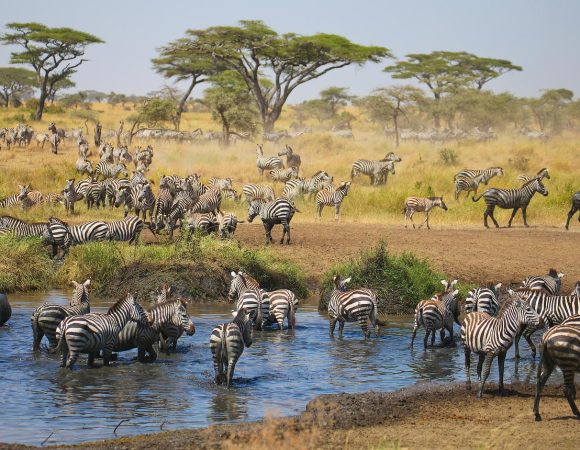 8-Day Tanzania Luxury Safari