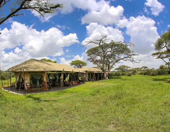 9-Day Best of Tanzania Safari