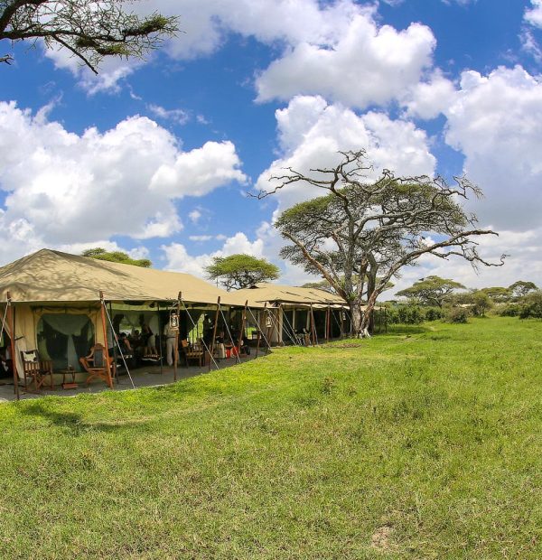 9-Day Best of Tanzania Safari