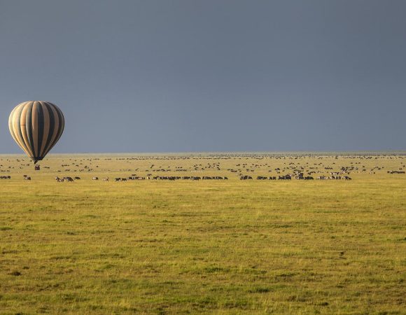 11-Day Tanzania Migration Safari