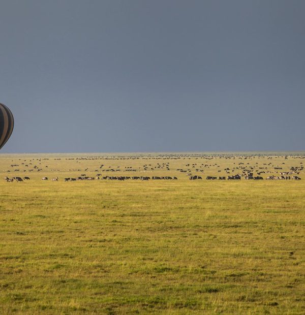 11-Day Tanzania Migration Safari