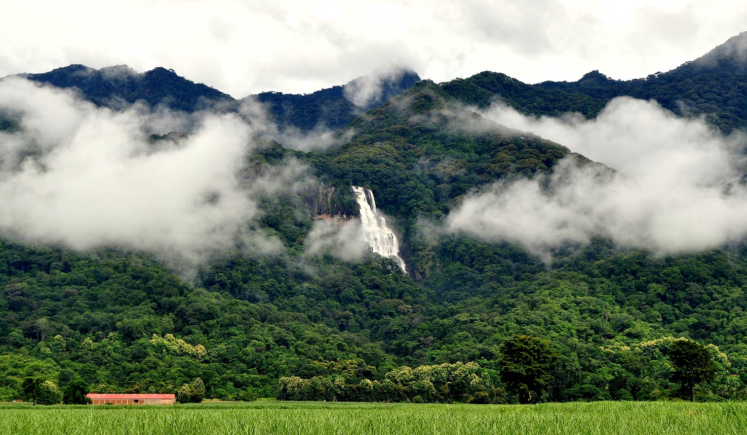 udzungwa 1 What is the best time to visit Tanzania?