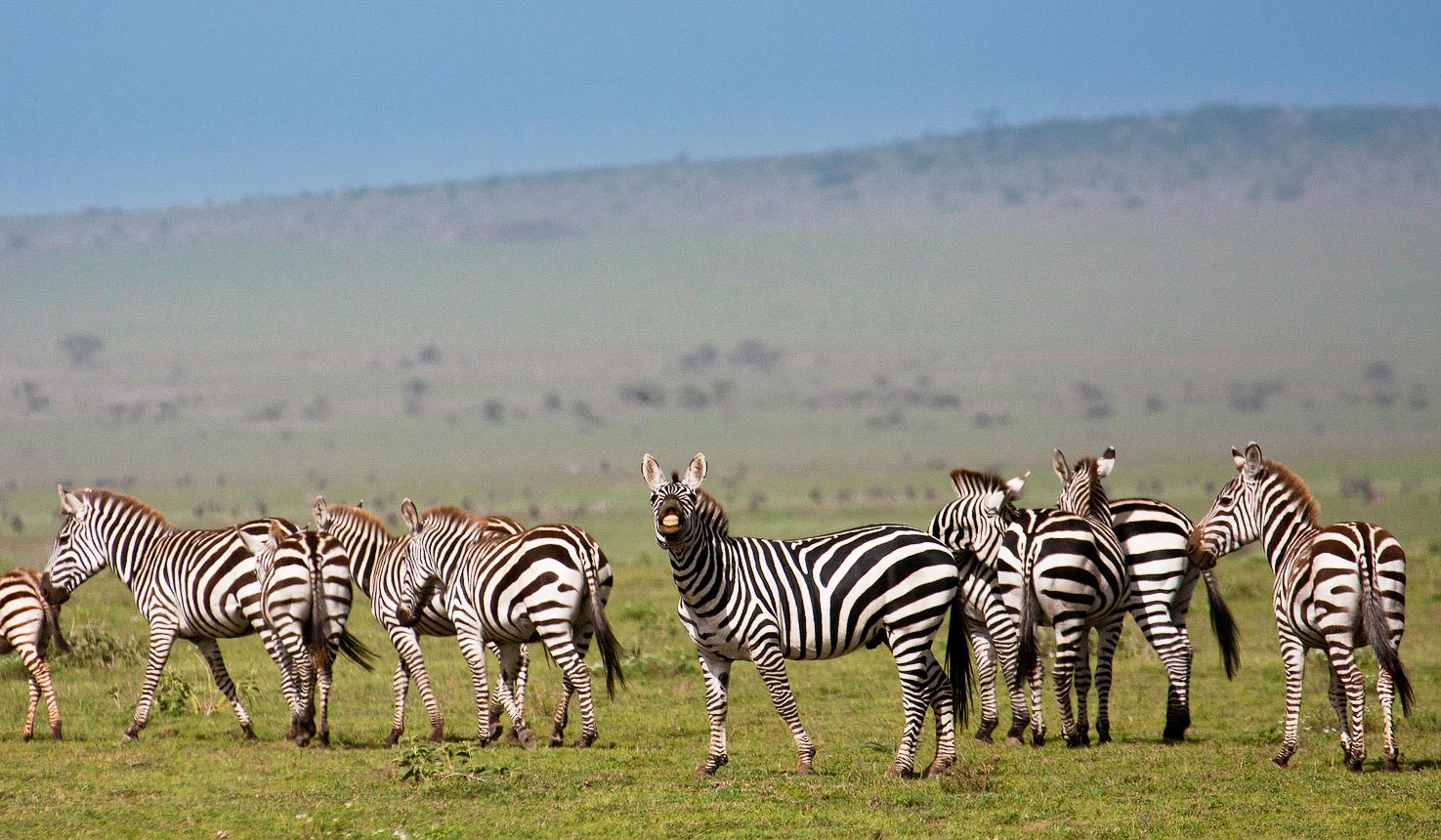 Ngorongoro Conservation Area